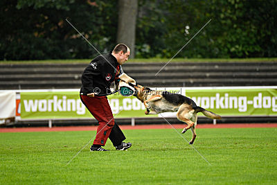 Valada II von der Verstandheim