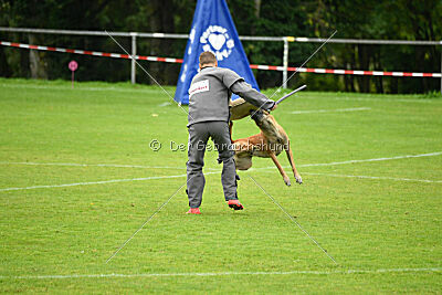 Van Gogh von der Steinteichmühle