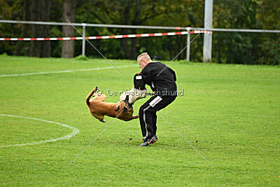 Van Gogh von der Steinteichmühle