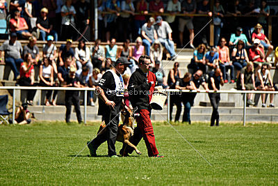 Van Gogh von der Steinteichmühle