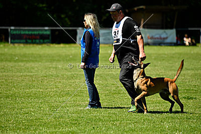 Van Gogh von der Steinteichmühle