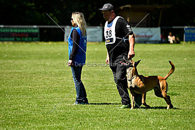 Van Gogh von der Steinteichmühle