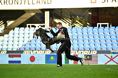 Varro Grey Archibald