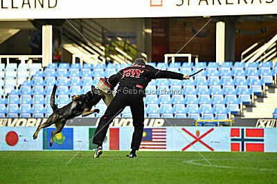 Varro Grey Archibald