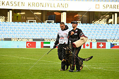 Varro Grey Archibald