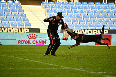 Varro Grey Archibald