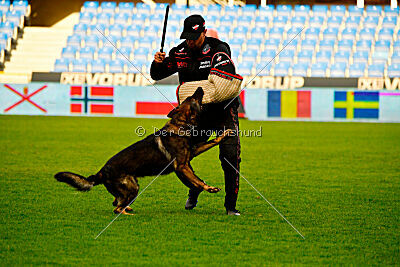 Varro Grey Archibald