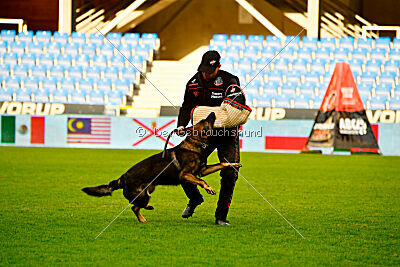 Varro Grey Archibald