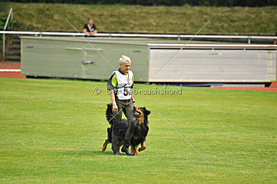 Varro von der Jagsthöhe