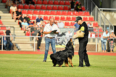 Varro von der Jagsthöhe
