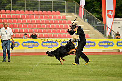 Varro von der Jagsthöhe