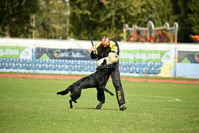 Vayda z Lomeckého polesi