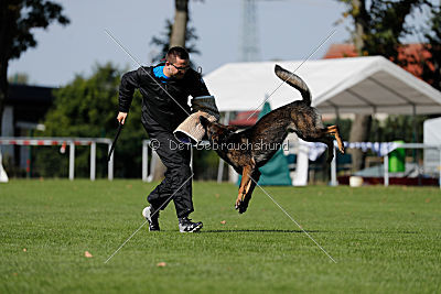 Vegas von der Burg Hinte