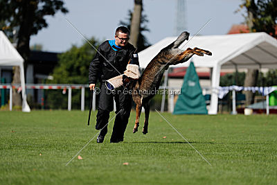 Vegas von der Burg Hinte