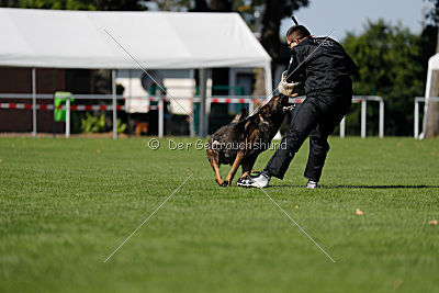 Vegas von der Burg Hinte