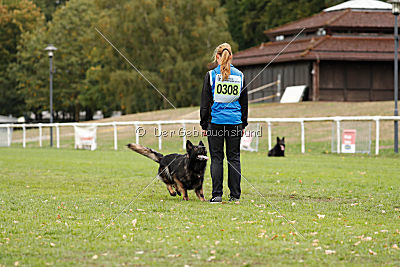 Venja vom Germanenadel