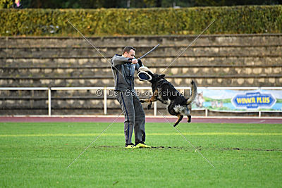 Venja vom Germanenadel