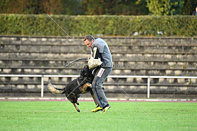 Venja vom Germanenadel