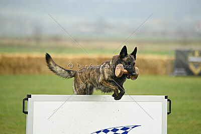 Vernita green Kill Bill