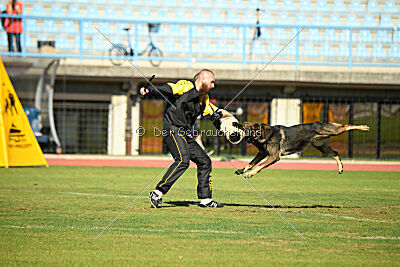 Vicco aus der Königshöhle
