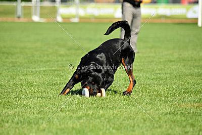 Viktoria von Hohenbeilstein