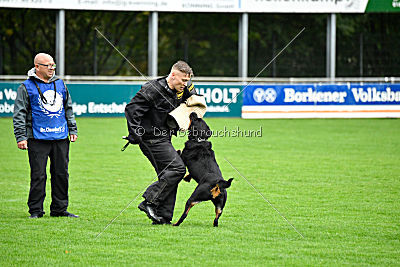 Viktoria von Hohenbeilstein