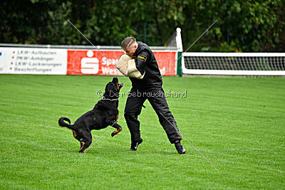 Viktoria von Hohenbeilstein