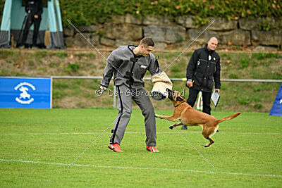 Villa on the Rocks von der Steinteichmühle