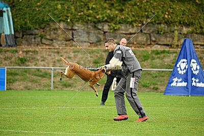 Villa on the Rocks von der Steinteichmühle