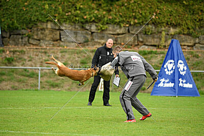 Villa on the Rocks von der Steinteichmühle