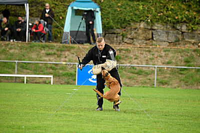 Villa on the Rocks von der Steinteichmühle