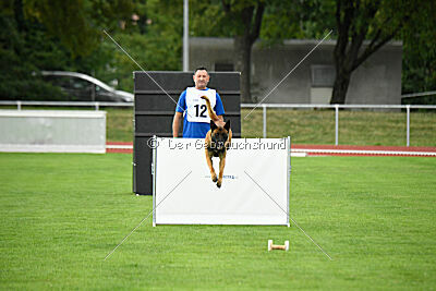 Vito vom Holzhäuser Flur