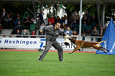 Vito vom Holzhäuser Flur