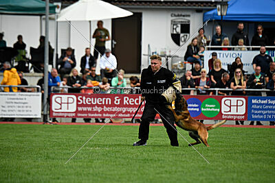 Vito vom Holzhäuser Flur