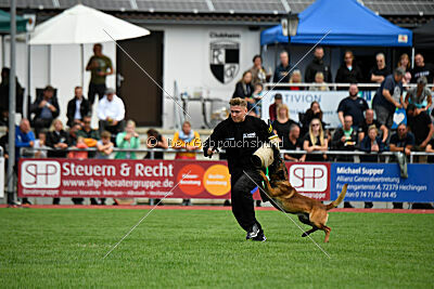 Vito vom Holzhäuser Flur