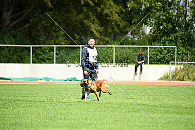 Vito vom Holzhäuser Flur