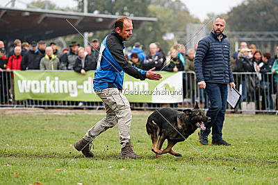 Vletcher aus der Birkenschäferei
