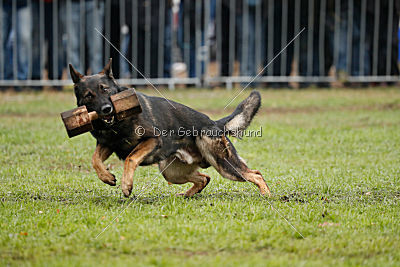 Vletcher aus der Birkenschäferei