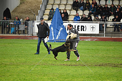 Vletcher aus der Birkenschäferei