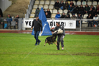 Vletcher aus der Birkenschäferei