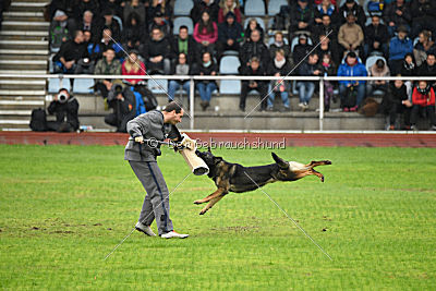 Vletcher aus der Birkenschäferei