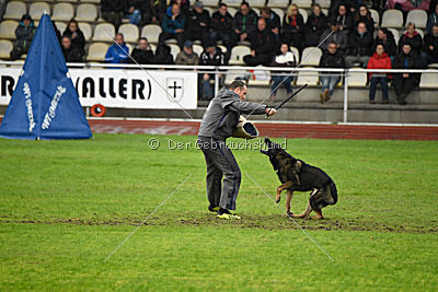 Vletcher aus der Birkenschäferei