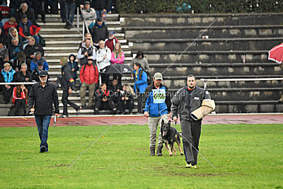 Vletcher aus der Birkenschäferei