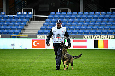 Vrochas cami at shangay