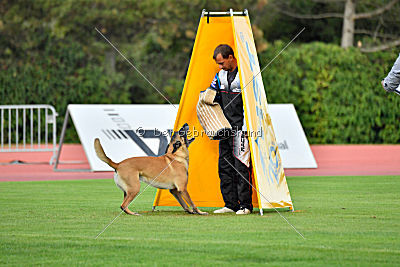 Vulcan vom Further Moor