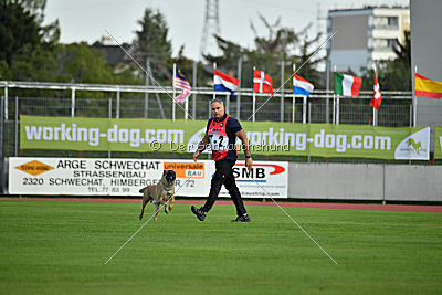 Vulcan vom Further Moor
