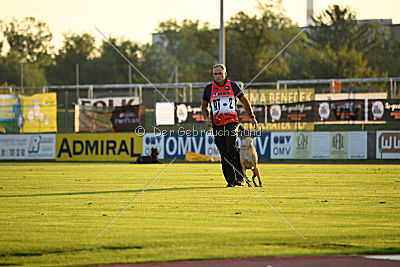 Vulcan vom Further Moor