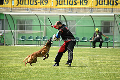 Waild Marinchuk K-9