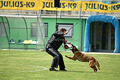 Waild Marinchuk K-9