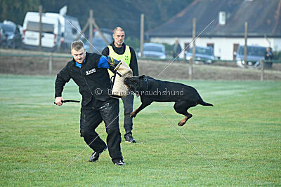 Wamba von der Bleichstrasse